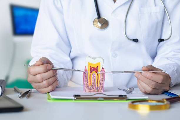 Best Emergency TMJ Treatment in Christmas, FL